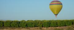 Private Balloon Flight For Two, Temecula
